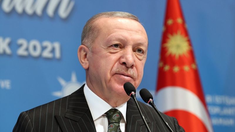 Cumhurbaşkanı Erdoğan'dan belediyelere sokak köpeği talimatı