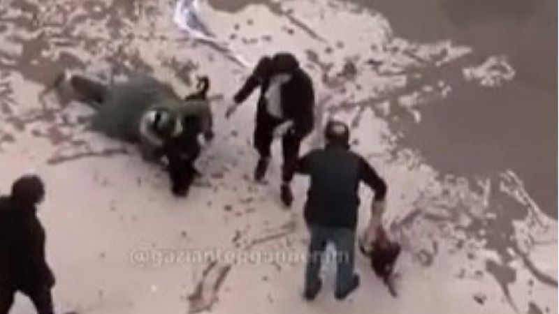 Gaziantep'teki pitbull saldırısında 3 tutuklama