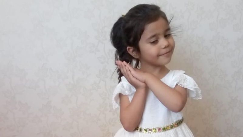 Gaziantepli Asiye'ye saldıran pitbull sahiplerine 60 bin lira ceza