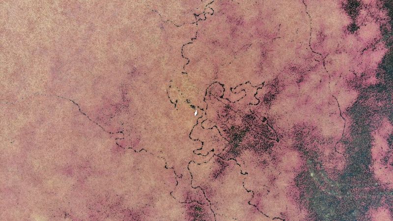 Kızılırmak Deltası'ndan eşsiz görüntüler