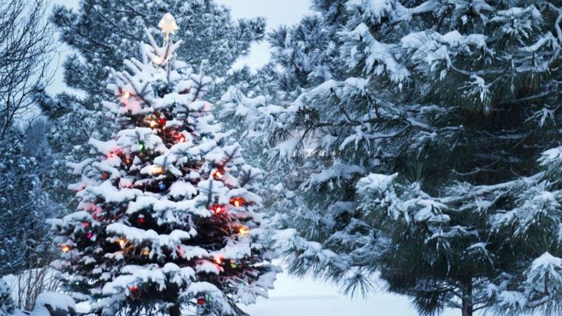 Gözler gökyüzünde: Bu yılbaşında kar yağacak mı?