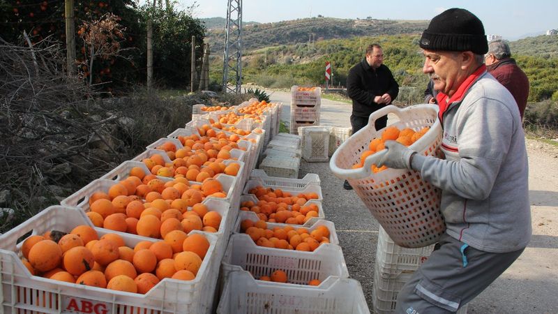 Mersin'de üreticiler indirim bekliyor