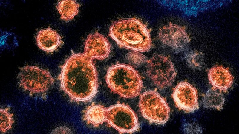 Türkiye'de Omicron varyantı hangi illerde görüldü? İşte listesi...