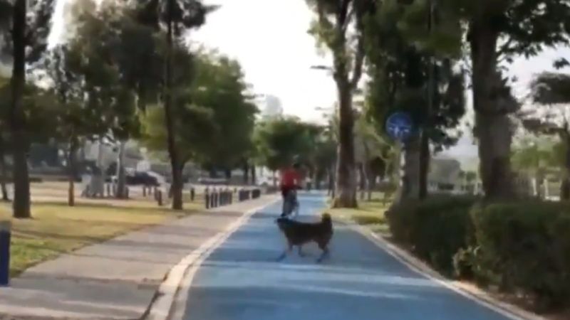 Sokak köpeklerinin Tunç Soyer'e havladığı görüntüler