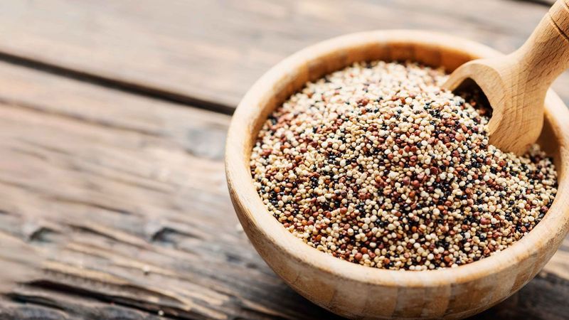 En çok protein içeren 9 bitkisel gıda