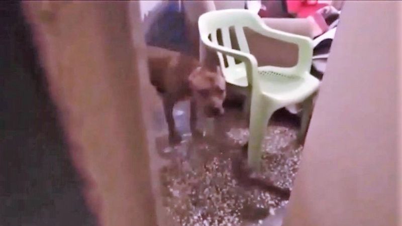 Batman'da 23 kişilik suç örgütü çökertildi