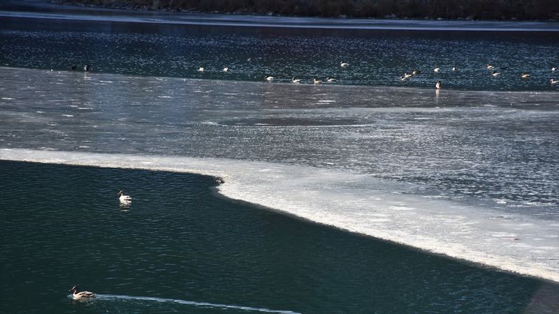 Uzungöl'ün yüzeyi buz tutmaya başladı