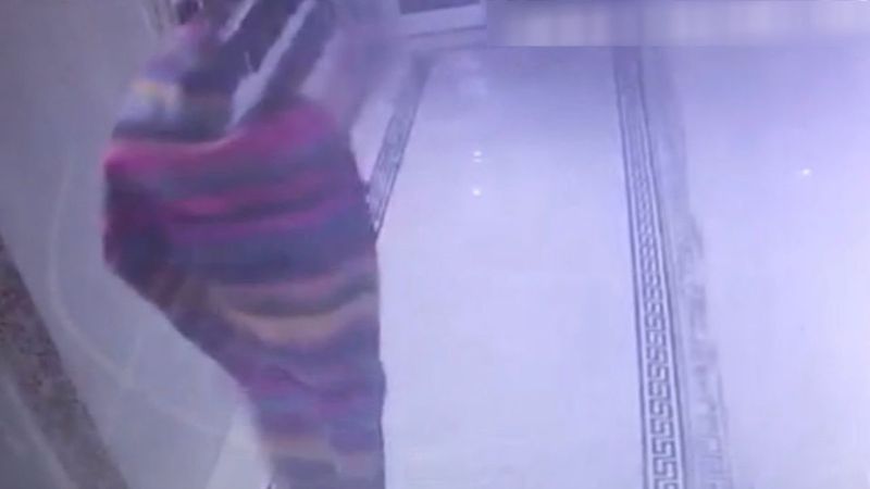 Şanlıurfa'da kameradan kaçan hırsız, kendini kilime sardı