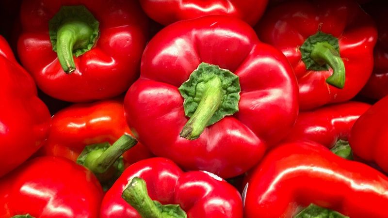 Kışın bağışıklığı artıran 10 harika yiyecek