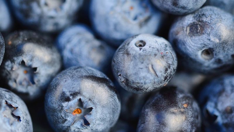 Kanser riskini azaltan 8 besin