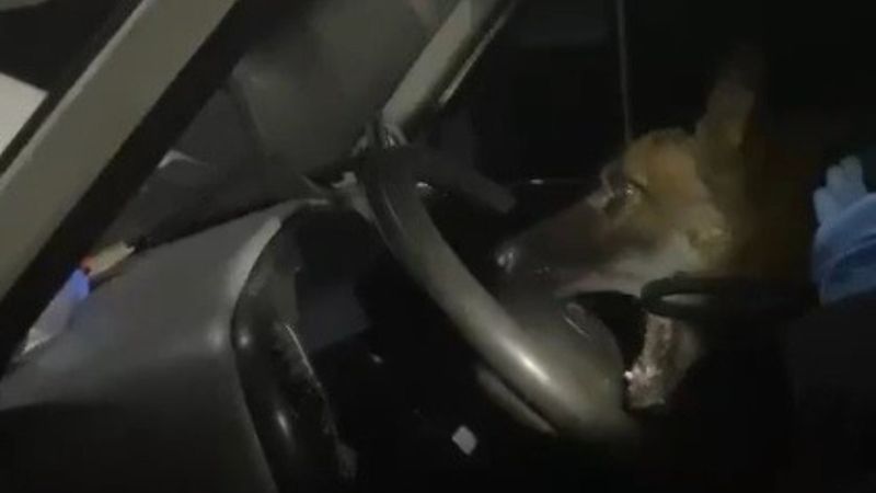 Trabzon'da minibüs direksiyonundan uyuşturucu çıktı