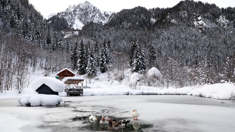 Rize'de beyaza bürünen milli parkta görsel şölen