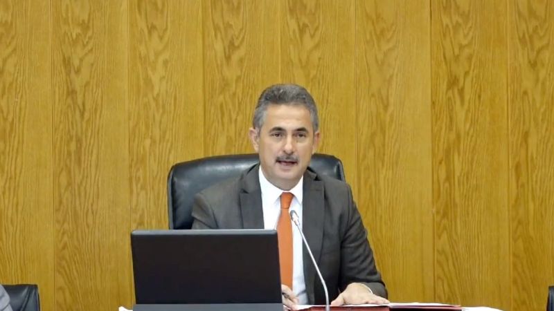 Mamak'ta sokak hayvanlarını sahiplenenlere maddi destek