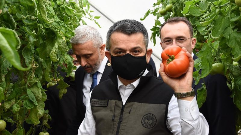 Bekir Pakdemirli: Seralarda üretim arttığında fiyatlardaki dalgalanma azalacak