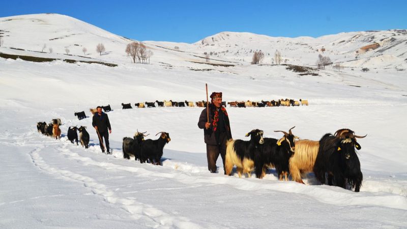 Muş'ta zorlu kar yolculuğu