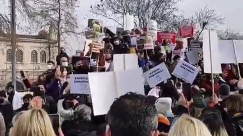 İstanbul'da sokak köpekleri için eylem yaptılar