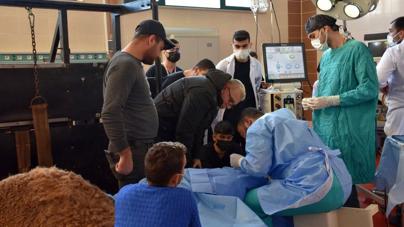 Burdur’da, Asya devesi katarakt ameliyatı oldu