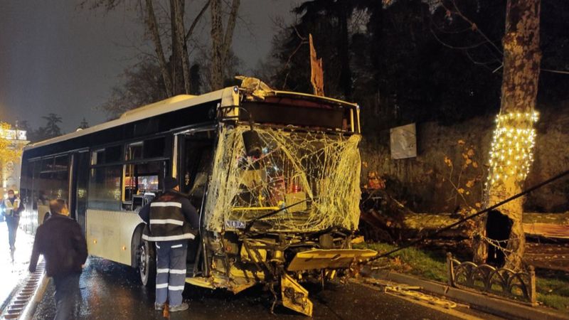 Beşiktaş'ta İETT otobüsü asırlık ağacı devirdi