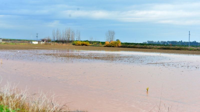 Adana’da tarım arazileri sular altında kaldı