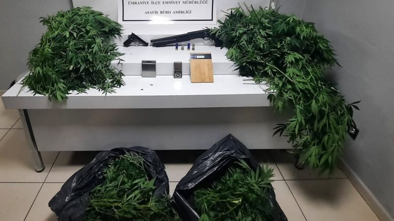 Ümraniye'de uyuşturucu serasına çevrilen eve operasyon