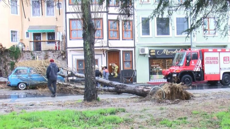 Fatih'te devrilen ağaç, eski filmlerde kullanılan araca hasar verdi