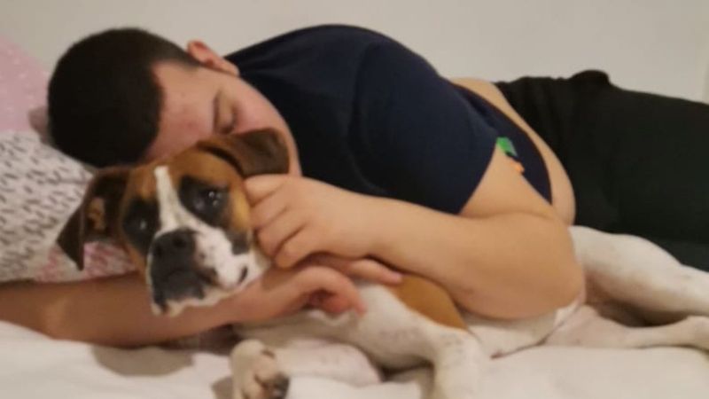 Üsküdar’da, pitbull zannedip otizmli çocuğun köpeğini vurdular