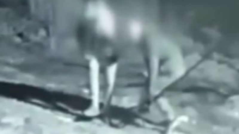 Kayseri'de kablo çalma anı kamerada