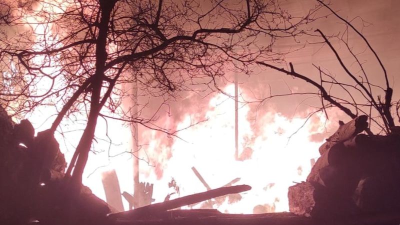 Aydın'da hayvan damında çıkan yangın kontrol altına alındı