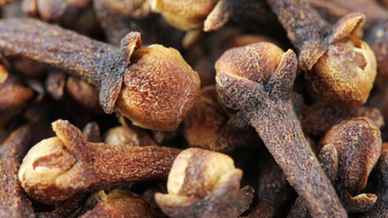 Her gün karanfil çiğnemenin 5 faydası