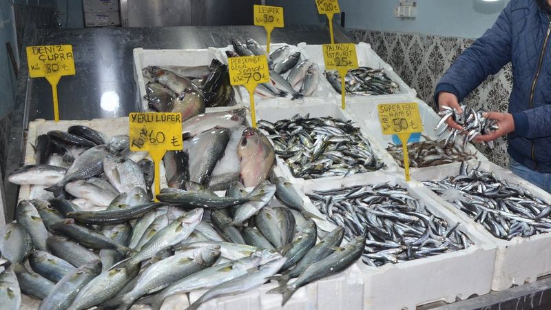 Ordu'da hamsinin kilosu 50 TL