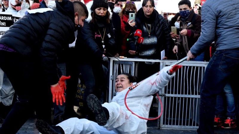 Ankara'da hayvanseverlerin 'köpekleri toplamayın' eylemi