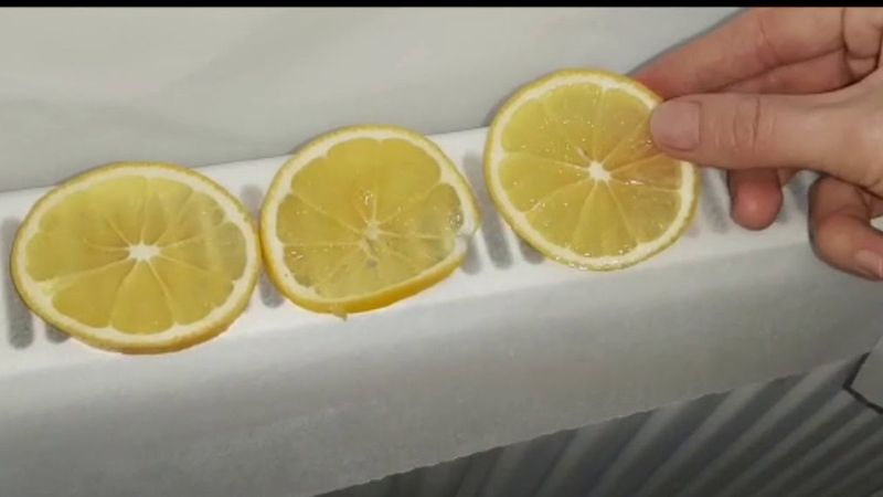Pratik mucize! Kaloriferlere limon kabuğu koyarsanız...
