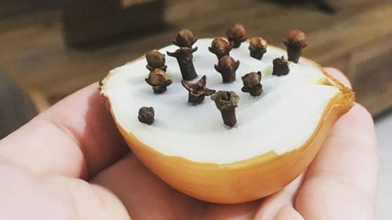 Saf antibiyotik: Soğana 4-5 karanfil batırın