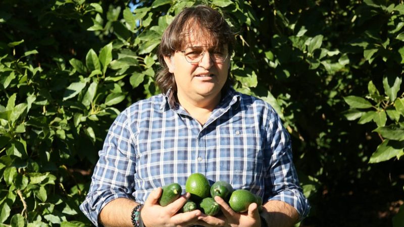 Akdeniz'de çiftçilere, 5 günlük don uyarısı