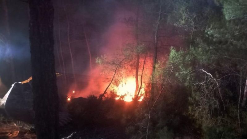 Muğla’da orman yangını