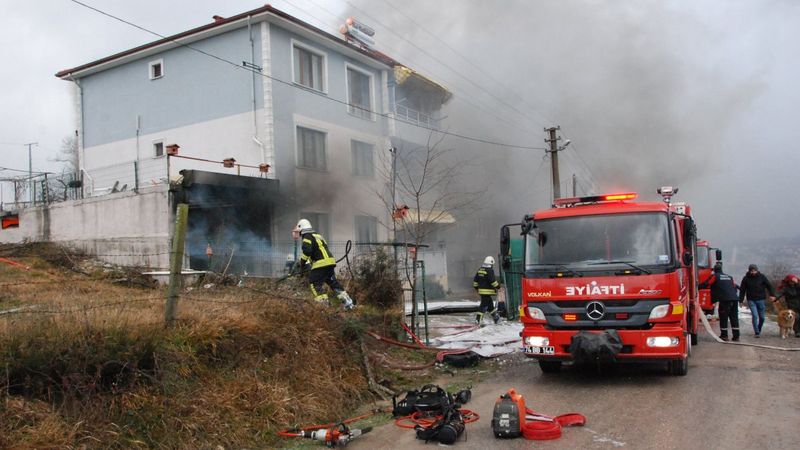 Bartın'da kedi ve köpekleri ısıtmak isterken aracı yandı