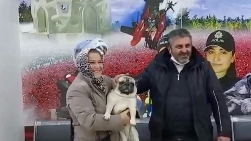 Beşiktaş'ta 'Gorbi' isimli köpeği çalan şüpheliler yakalandı