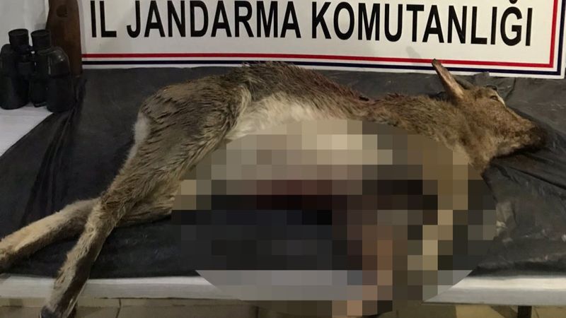 Erzurum'da yaban keçisi avlamaya 60 bin TL ceza