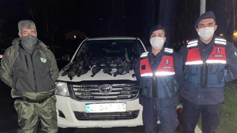 Adana'da sakarmeke avlamaya 23 bin 77 TL ceza