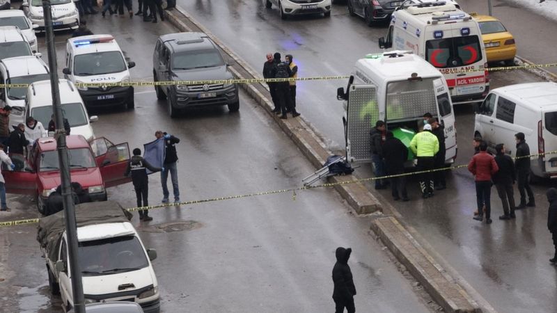 Van'da yaklaşık 10 metre arayla 2 ceset bulundu:1 kişi gözaltında