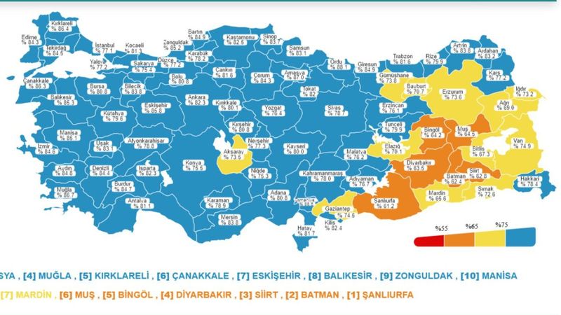 29 Ocak koronavirüs tablosu