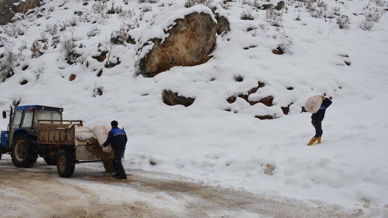 Tanin Dağları'na kepçelerle ulaşılıp yem bırakıldı