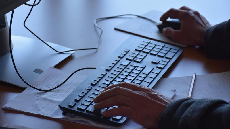 Siber dolandırıcılar, 'Kadına şiddet' ve 'hayvan hakları'nı kullanıyor