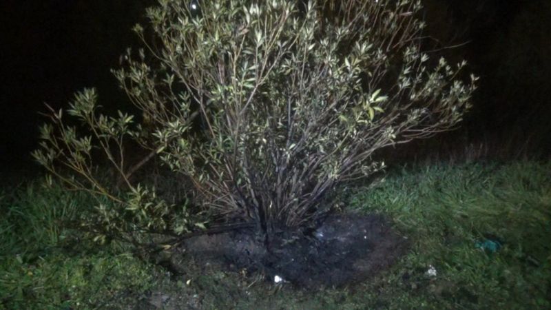 İzmir'de yanan valizin içerisinden ceset çıktı