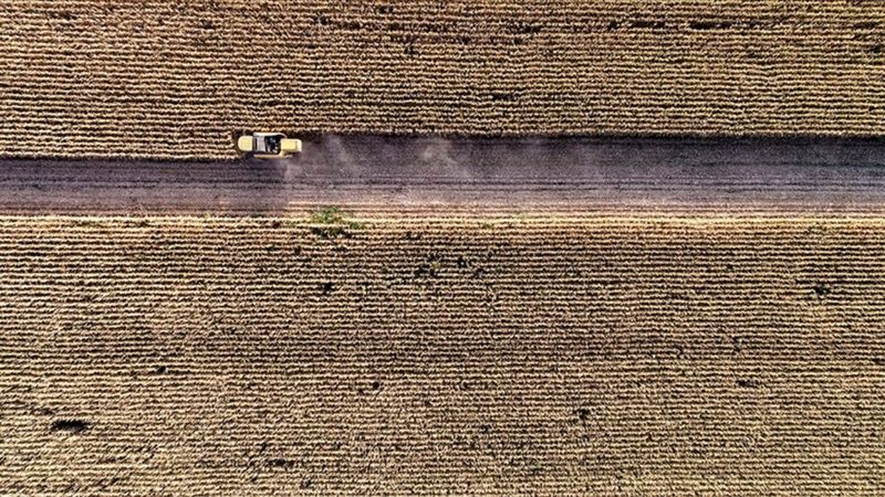 200 bin çiftçiye destek müjdesi