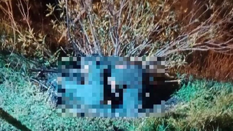 İzmir'deki valiz cinayetinin sebebi belli oldu