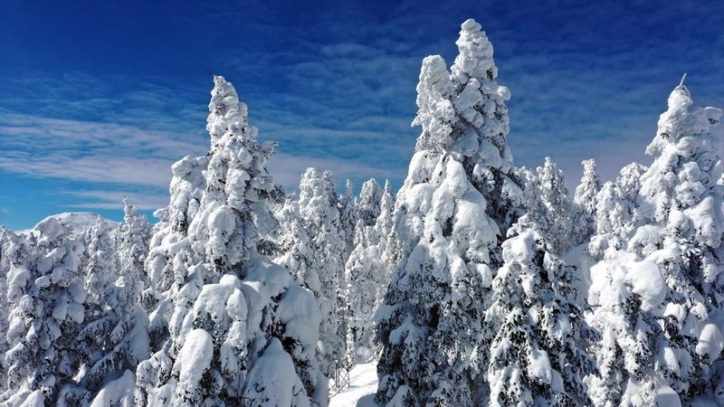 Beyaz örtüyle kaplanan Ilgaz, havadan görüntülendi