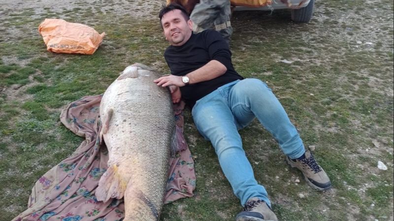 Adıyaman'da 180 boyunda turna balığı avlandı