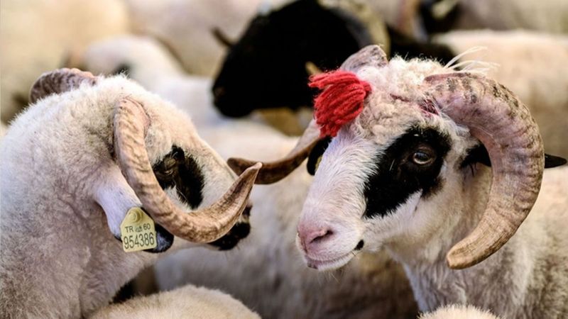 Kurban Bayramı ne zaman? 2022 Kurban Bayramı tarihi...