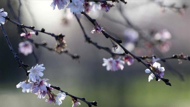 İlk cemre düştü mü? Toprağa, havaya ve suya cemre düşme tarihleri 2022